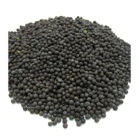 Nanlite — catalyseur Pd en palissandre, qualité supérieure, en stock, avec échantillons gratuit, chine