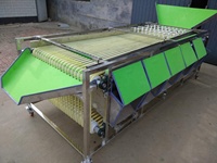 Noten Verwerking Macadamia Noten Walnoot Kastanje Sorteren Sorteermachine