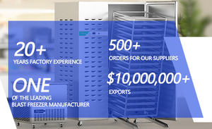 Alto Shaam Bluestar Ventajas Subasta Aruide Blast Freezer Aplicaciones - Product Image 3