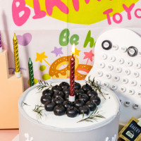 Lot de 6 bougies d'anniversaire colorées en cire de paraffine sans fumée, écologiques, faites à la main, pour la décoration de gâteaux de fête, de mariage et de banquet
