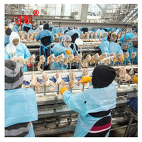 Équipement d'abattage de lapins ligne d'abattage de lapins équipement d'abattoir de lapins