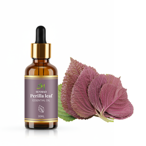 Olio Essenziale di Foglie di <span class=keywords><strong>Perilla</strong></span> 100% Naturale e Puro di Alta Qualità 30ml per Cosmetici e Cura della Pelle - Product Image 2