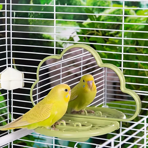 Hot Sale Parrot Mirror Stand with Food Box Plastic <strong>Bird</strong> Perch Toy for Budgie Parakeet Lovebird African Grey Macaw Roosteratiels - Product Image 2