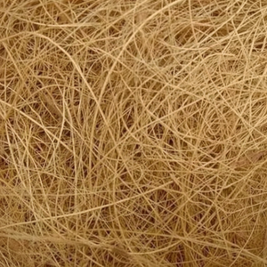 Fibre de coco séchée brute de qualité supérieure 1000mm de longueur Vietnam 100% biologique Prix compétitif Tom - Product Image 1