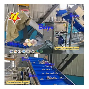Baiyu Machine de tri d'ail à éplucher les oignons à haute efficacité Ligne de production de fruits et légumes Machine à éplucher les garlis