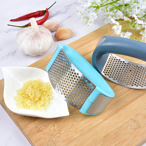 Amazon Hot Sell Trending Manual Crusher Kitchen Accessories Tool Garlic Peeler Brush Stainless Steel Garlic Press