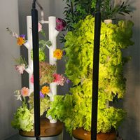 Machine de culture hydroponique numérique pour légumes, moderne, en plastique, écologique, culture sans terre pour la cuisine à domicile, WiFi à distance
