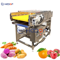 500Kg Capaciteit Fruit En Avocado Waxen Sorteermachine Voor Plantaardige Verwerkingsfabriek Reinigingsverwerkingslijn