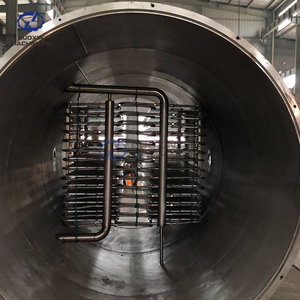 Haute Performance Fruits Légumes Figue Mangue Citron Gombo Mûrier Lyophilisation Machine Lait Miel Lyophilisateur - Product Image 6