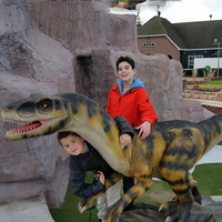 Modèle de dinosaure animatronique Velociraptor de haute qualité Design en acier élégant pour les enfants Utilisation intérieure et extérieure pour le centre commercial à domicile