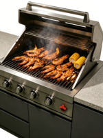 Cuisine extérieure modulaire compacte en acier inoxydable avec barbecue à gaz 5 brûleurs, évier et refroidisseur à vin - Utilisation domestique et en camping, îlot BBQ pour patio