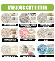 Arena para Gatos de Bentonita de Sodio Económica, Biodegradable, de Bajo Contenido de Polvo y Aglomerante, 20 kg