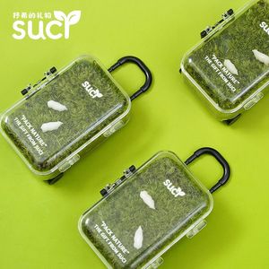 Terrarium micro-paysager en mousse, une pelouse, un bac à plantes vertes pour personne pressée, simple, facile d'entretien, décorations végétales amusantes, cadeaux - Product Image 2