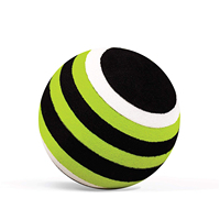Ensemble de balles de massage en mousse EVA avec logo OEM Grand, moyen, petit pour tous les groupes musculaires Ensemble du bas du dos
