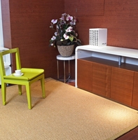 Tapis en Sisal Tissé Chevron Coloré en Fibres Naturelles, Largeur Intégrale, pour Salon, Vente en Gros Usine OEM ODM Personnalisée