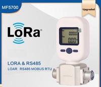Alat Uji Udara Terkompresi Nitrogen Oksigen Argon Karbon Dioksida MF5706(0-20L) Pengukur Aliran Massa Gas MF5708 MF5712 Pengukur Aliran