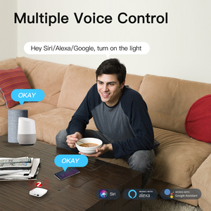 <span class=keywords><strong>Passerelle</strong></span> <span class=keywords><strong>Zigbee</strong></span> filaire <span class=keywords><strong>Tuya</strong></span> avec commande vocale Siri pour interrupteur intelligent et ampoule - Product Image 2