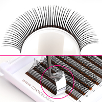 Extensions de cils 5D en PBT coréen, fabrication artisanale professionnelle, effet fleur, boucles C et D, 0,07 mm, 8-15 mm, effet camélia, vaporeux