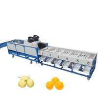Automatique Tomate Trieuse Pommes De Terre Fruits Pomme Taille Tri Oignon Myrtille Diamètre Machine de Classement