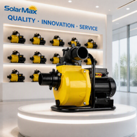 Pompa Surya Permukaan SolarMax DC 48V 750W untuk Irigasi Pertanian, Daya Angkat 15m, 15m³/jam, 1HP, Bahan Stainless Steel 304