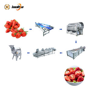 Ligne de traitement des légumes et fruits : élimination des tiges, lavage à bulles, séchage à l'air, découpe pour fraises, <span class=keywords><strong>framboises</strong></span>, cerises, tomates - Product Image 1