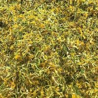 Ligne de production d'herbes chinoises à haut rendement 1-5 TPH Séchoir à réglisse et à stévia Séchoir à tabac Fructus Aurantii Séchoir à produits agricoles