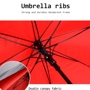 Paraguas de fibra de vidrio de doble capa a prueba de viento 2026, novedad de alta gama, mango de plástico de color personalizado 10K, para adultos, negocios, automático - Product Image 3
