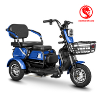 Tricycle électrique 500W 48V à 3 roues et 3 vitesses, haute vitesse, cadre en fer, capteur électronique, longue autonomie, pour passager adulte, loisirs urbains