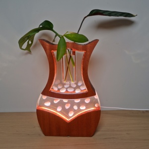 Thanh Lịch Frail Vase Cho Hoa Khô Và Thủy Canh Nghệ Thuật Vase Với LED Ánh Sáng WeCraft Gỗ <span class=keywords><strong>Resin</strong></span> Thủ Công Mỹ Nghệ Đèn Đêm - Product Image 4