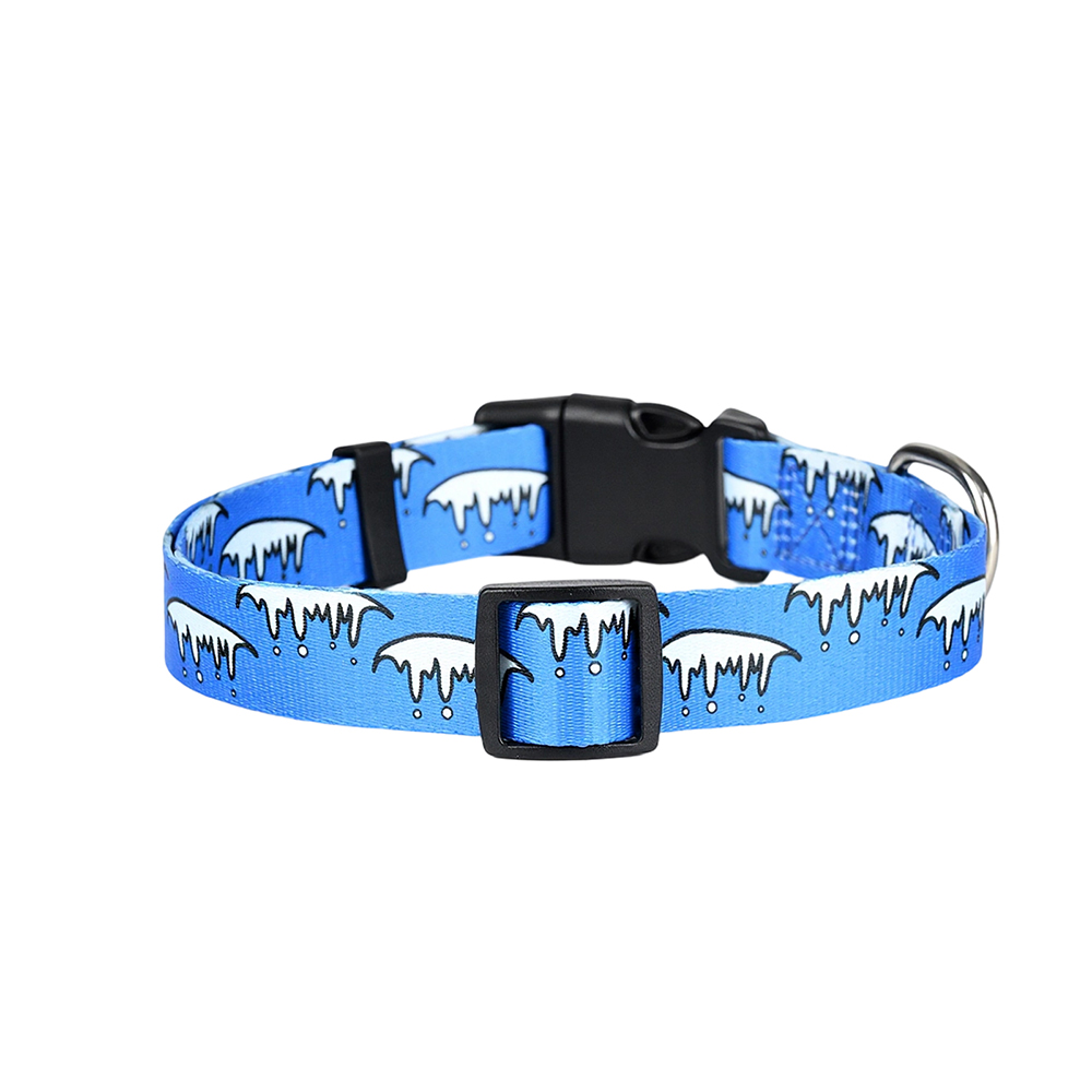 Arctic Bright Blue