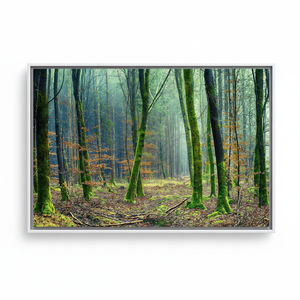 Printed <b>Canvas</b> Art: Forest Landscape with Tempered Glass Wall Decor,WHITE <b>FRAMED</b> <b>CANVAS</b> - Product Image 2