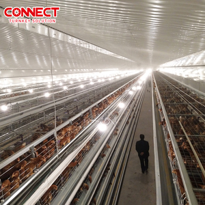 Structure <strong>Poultry</strong> <strong>Farm</strong> Shed Building Breed Feed House Design Construction Steel Chicken Sheds Coop Layer Cage System - Product Image 3
