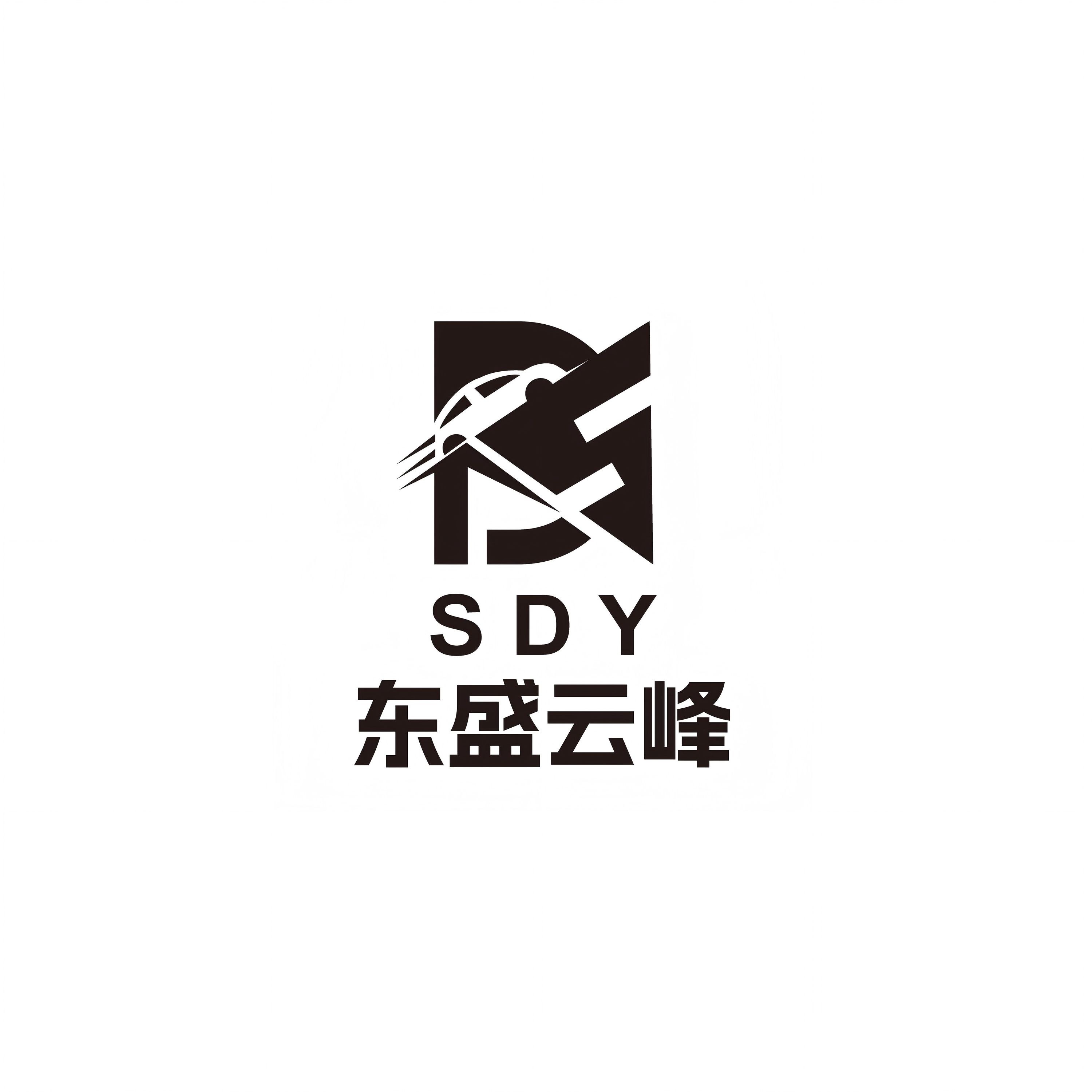 Shenyang Dongsheng Yunfeng Auto Parts Co., Ltd. logo