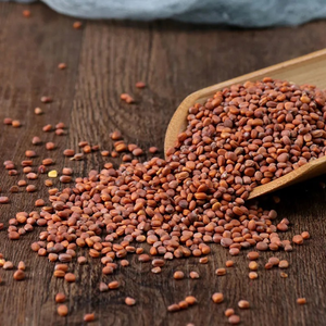 ラハニエキス天然大根種子エキス10:1精液 - Product Image 2