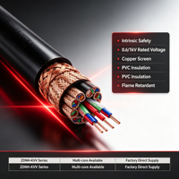 Câbles électriques DJYPVP 300-500V isolés en XLPE PVC avec gaine en PVC, âme en cuivre, pour instrumentation et circuits de contrôle industriel