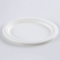 Boîte à lunch en papier de bagasse de canne à sucre jetable biodégradable 10*8 pouces avec insert en bambou maintenant disponible sur le marché des Émirats arabes unis