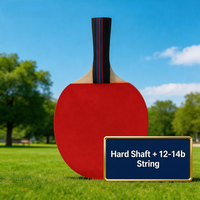 Kit de Ping-Pong Professionnel en Bois Écologique pour la Vente en Gros – Raquettes de Tennis de Table, 6 Balles, Filet Portable, Entraînement Extérieur, Personnalisable