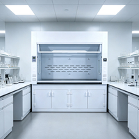 Hotte à fumées en acier pour écoles, hôpitaux, ateliers - Équipement de laboratoire chimique avec plan de travail en résine phénolique et design moderne