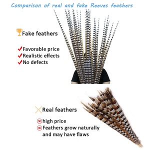 Reeves nhân tạo lông đuôi gà lôi Giao hàng nhanh chóng 70cm-120cm trang phục phụ kiện lễ hội trang trí mũ trang trí thô plumas de - Product Image 4