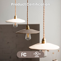 Ampoule LED à filament de verre ST19/ST58 à haut CRI90, dimmable, 8W, base E26/E27, super efficace pour la maison, l'hôtel et le commerce