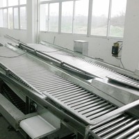 500Kg 380V Fruit & Groente Sorteermachine Voor Landbouwbedrijven 304 Roestvrijstalen Zilveren Grotere Houten Kist