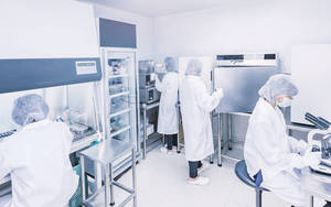 ยาเม็ดเพิ่มน้ำหนักตามธรรมชาติผลิตภัณฑ์ความงามจากโรงงานผลิตจากโรงงาน - Product Image 4