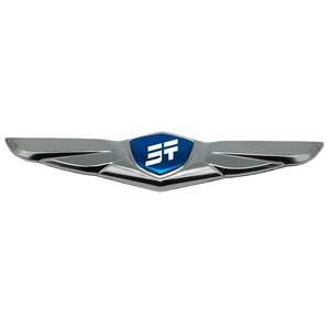 Placa Decorativa para Capó y Parte Trasera del Coche, Adhesivo Metálico Universal para Varias Marcas - Product Image 4