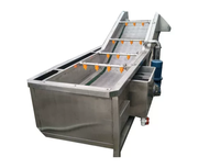 Ligne de transformation du gingembre multifonctionnelle 500 kg/h avec acier inoxydable de qualité alimentaire pour usage industriel
