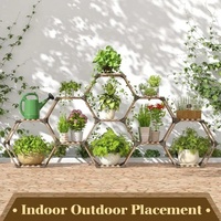 Support de Plantes Hexagonal en Bois d'Eucalyptus Écologique pour Intérieur avec Trous de Drainage, Auto-Arrosage, Créatif et Réglable pour la Maison