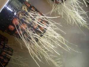 40L/Túi Mở Rộng Đất Sét Tổng Hợp Sỏi Đá Trồng Phương Tiện Thủy Canh - Product Image 6