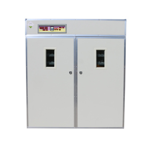 Incubadora automática de huevos de codorniz para pollos, granja avícola, 2112 - Product Image 5