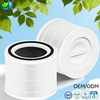 Filtre de remplacement H13 True HEPA au charbon actif pour l'élimination des odeurs et du formaldéhyde, compatible avec LEVOIT Core 300, vente en gros OEM ODM