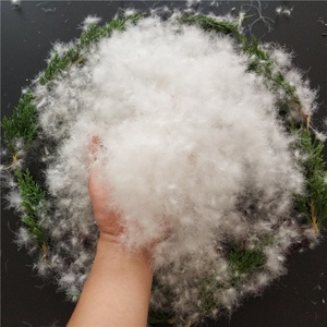 Vịt Trắng Lông Xuống/Ngỗng Xuống 600/700/800 Tuyết Trắng Alping Khách Làm Sạch Quần Áo CN;HEB Châu Âu Rửa Sạch - Product Image 2