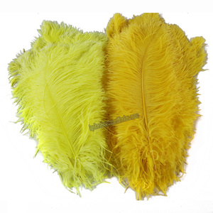 Grand vase floral de 20/22 pouces, <span class=keywords><strong>d</strong></span>écoration réelle, bricolage, plumes <span class=keywords><strong>d</strong></span>'<span class=keywords><strong>autruche</strong></span> naturelles noires pour fête, carnaval, mariage - Product Image 4